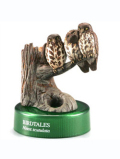 ����Ʋ ������ή BIRDTALES 2 �����Х���